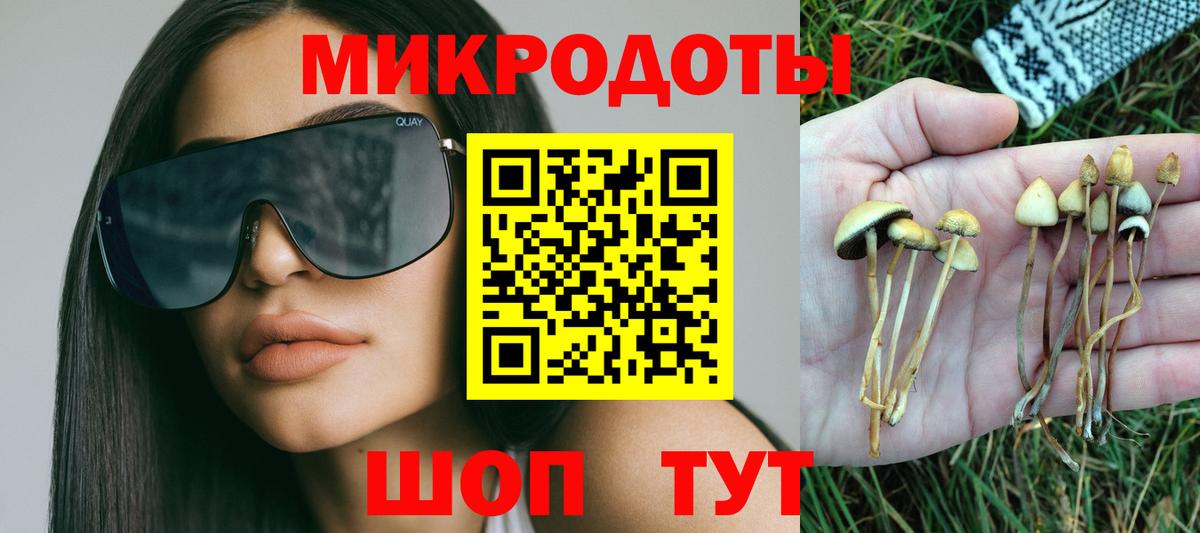 Псилоцибиновые грибы GOLDEN TEACHER Георгиевск